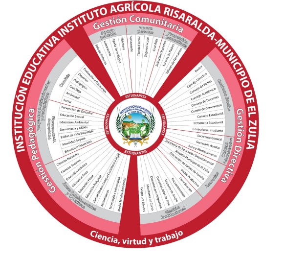 Organigrama Institucional